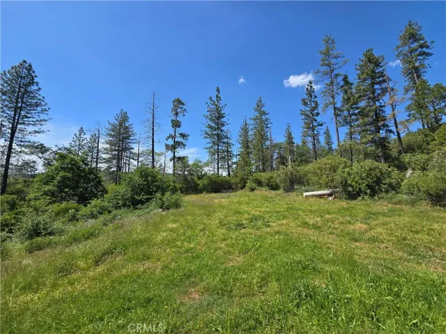 a view of a big yard with a house in the background