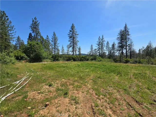 a view of backyard with green space