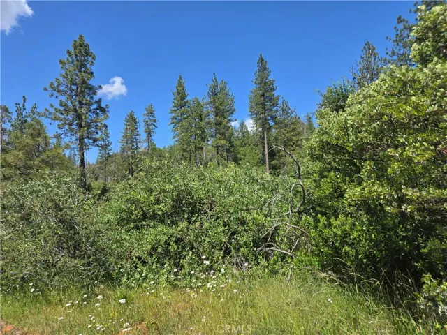 a view of lake background with houses