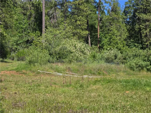 a view of a room with a trees