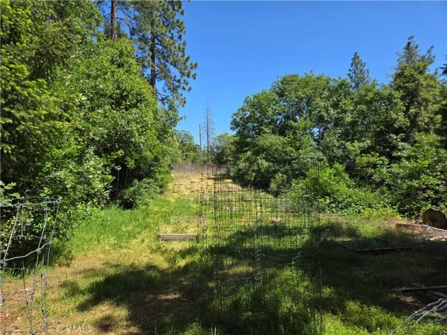 a view of outdoor space and trees