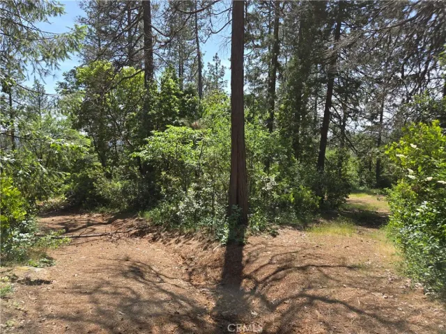 a view of a road with trees in the background