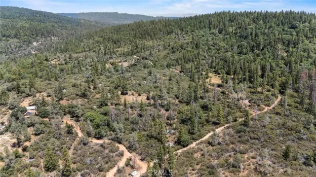 a view of a forest with a street