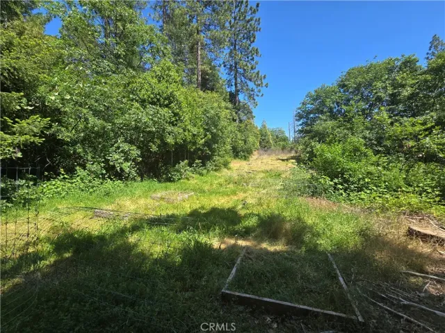 $99,999 | 17711 Pamlo, Brownsville, CA 95919