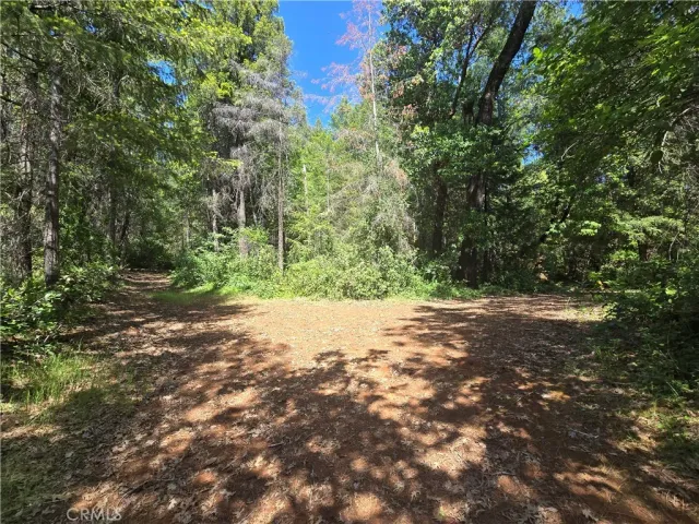 $99,999 | 17711 Pamlo, Brownsville, CA 95919