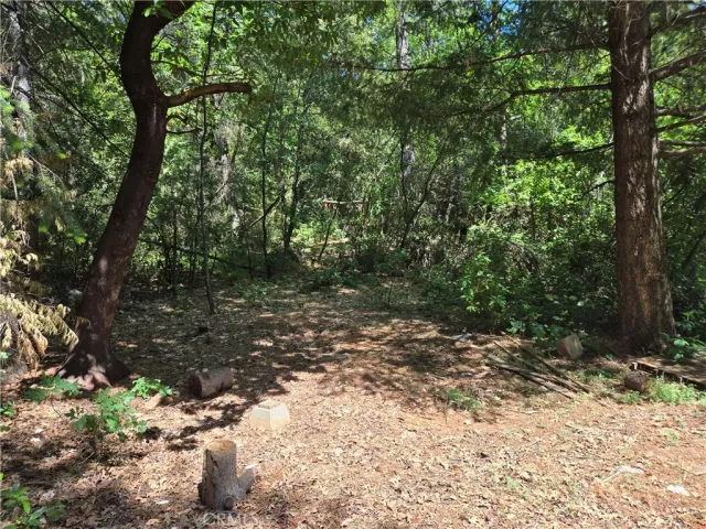 $99,999 | 17711 Pamlo, Brownsville, CA 95919