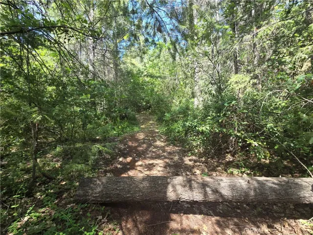 $99,999 | 17711 Pamlo, Brownsville, CA 95919