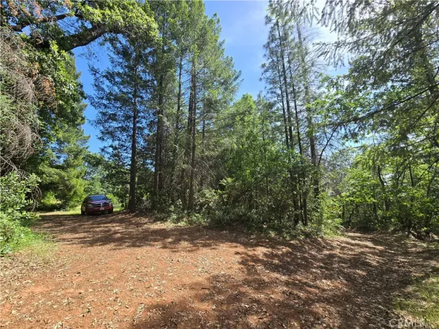 $99,999 | 17711 Pamlo, Brownsville, CA 95919