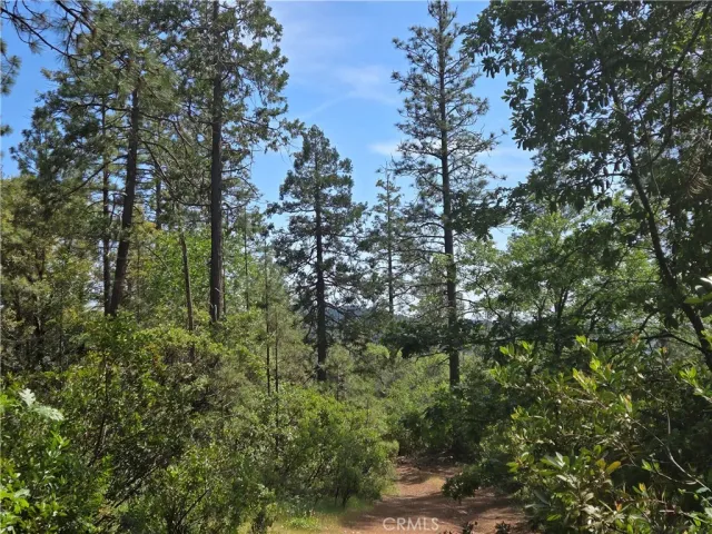 $99,999 | 17711 Pamlo, Brownsville, CA 95919