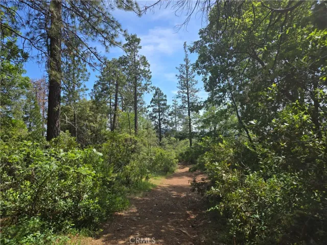 $99,999 | 17711 Pamlo, Brownsville, CA 95919