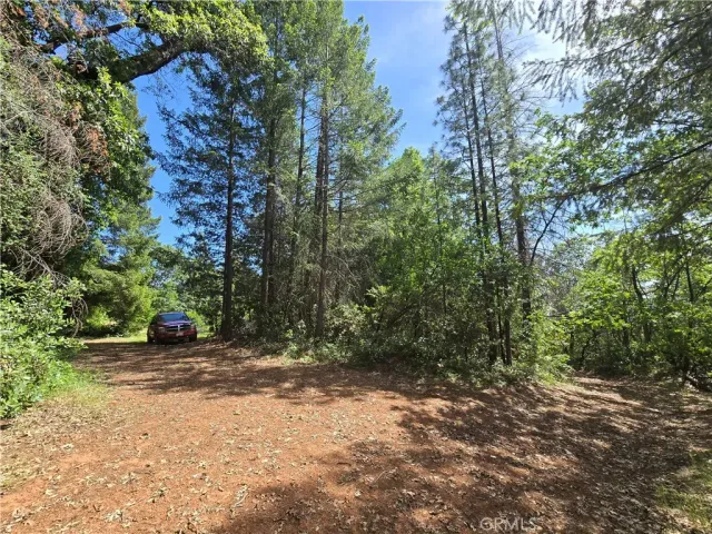 $99,999 | 17711 Pamlo, Brownsville, CA 95919