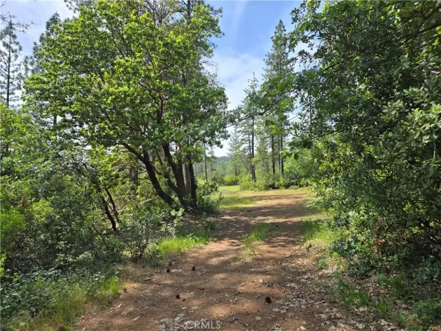 $99,999 | 17711 Pamlo, Brownsville, CA 95919