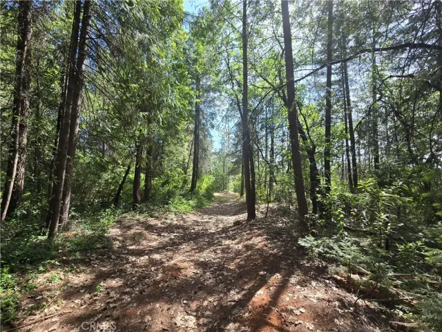 $99,999 | 17711 Pamlo, Brownsville, CA 95919