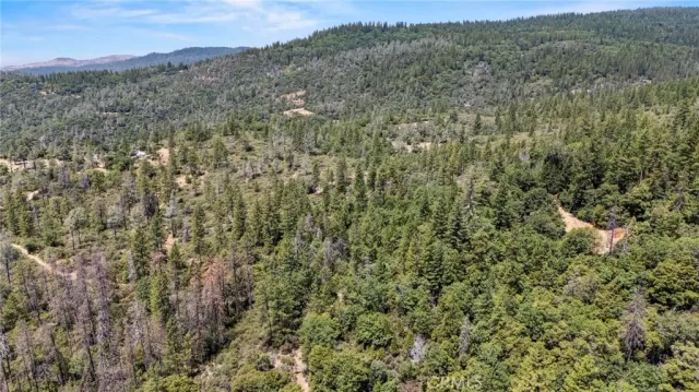 a view of a dry yard