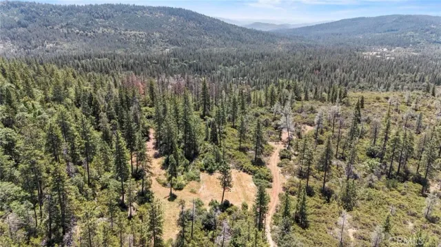 a view of a forest with a houses