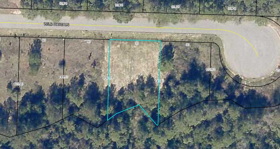 Lot 2 Rabbit Run Crestview, FL 32539 - Photo 2 of 2 a bird view of a lake