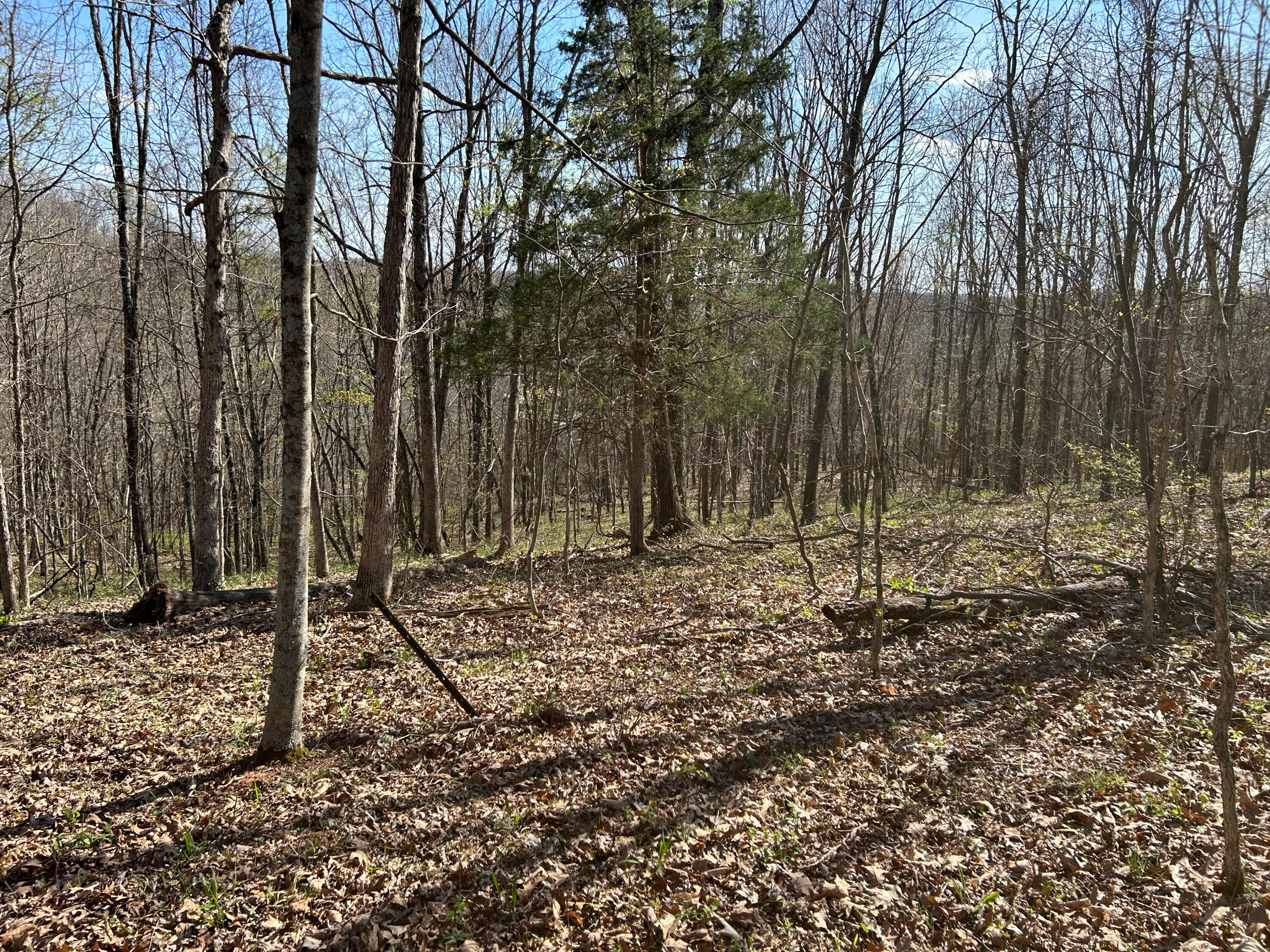 1322 Peniel Road Patriot, OH 45658 - Photo 48 of 54 Pic 51