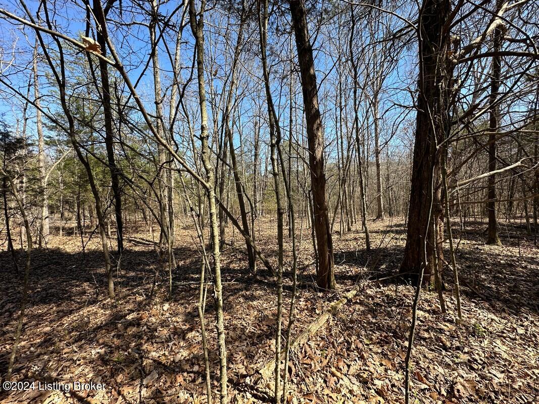 970 River Road Clarkson, KY 42726 - Photo 58 of 58 972 River Roadr4