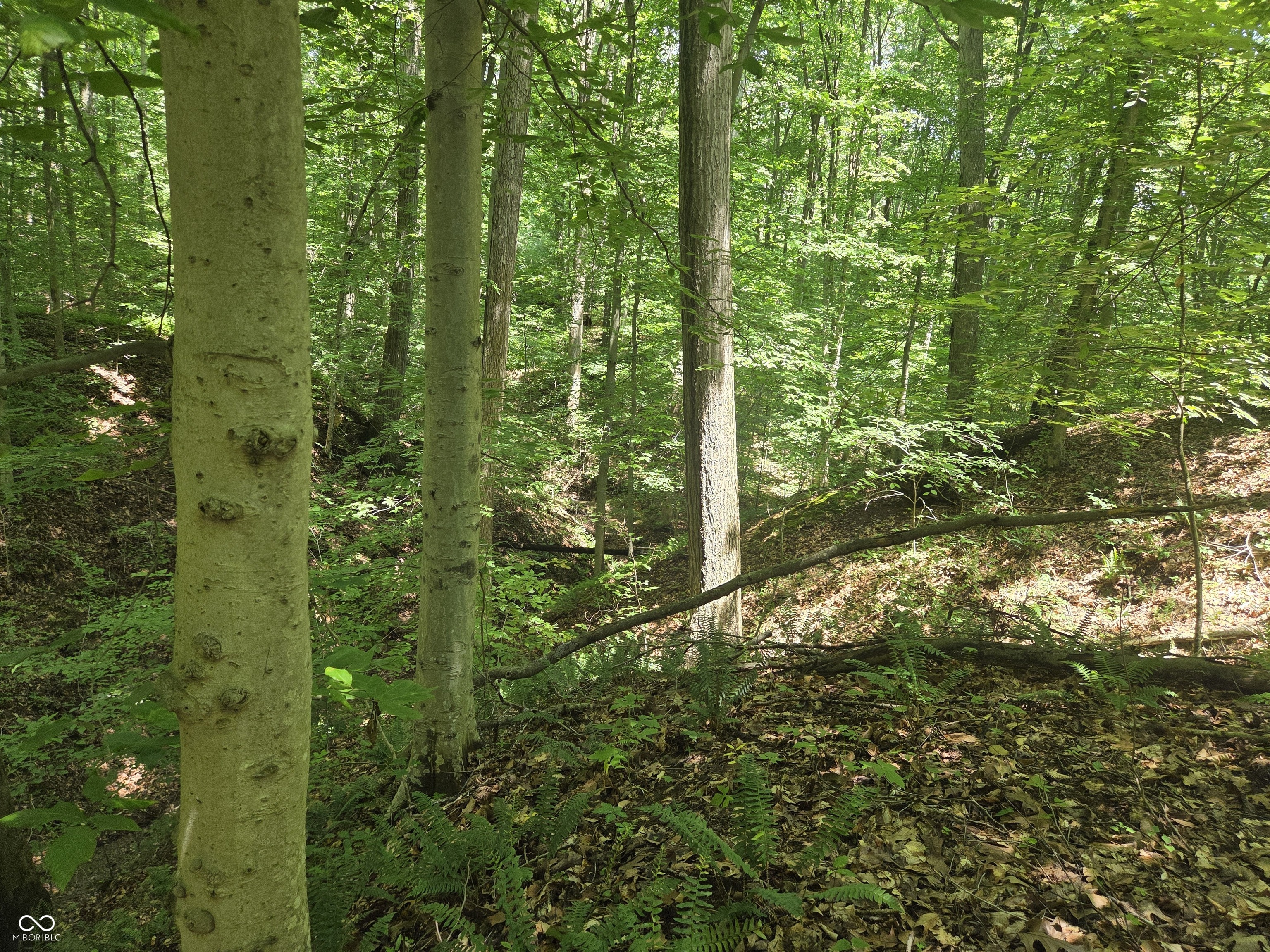 8025 North Fish Road Bloomington, IN 47408 - Photo 5 of 9