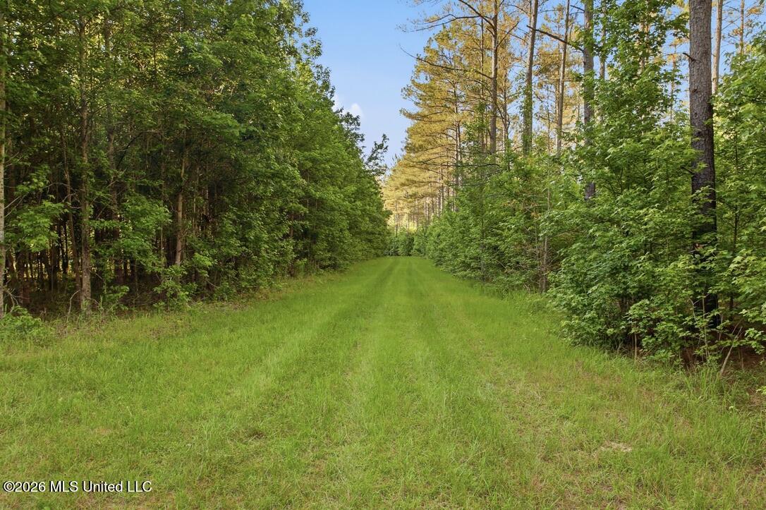 425 Rose Hill Road Bentonia, MS 39040 - Photo 140 of 150 E52B2269-C7A5-4250-8D9B-D968336A8296_1_1