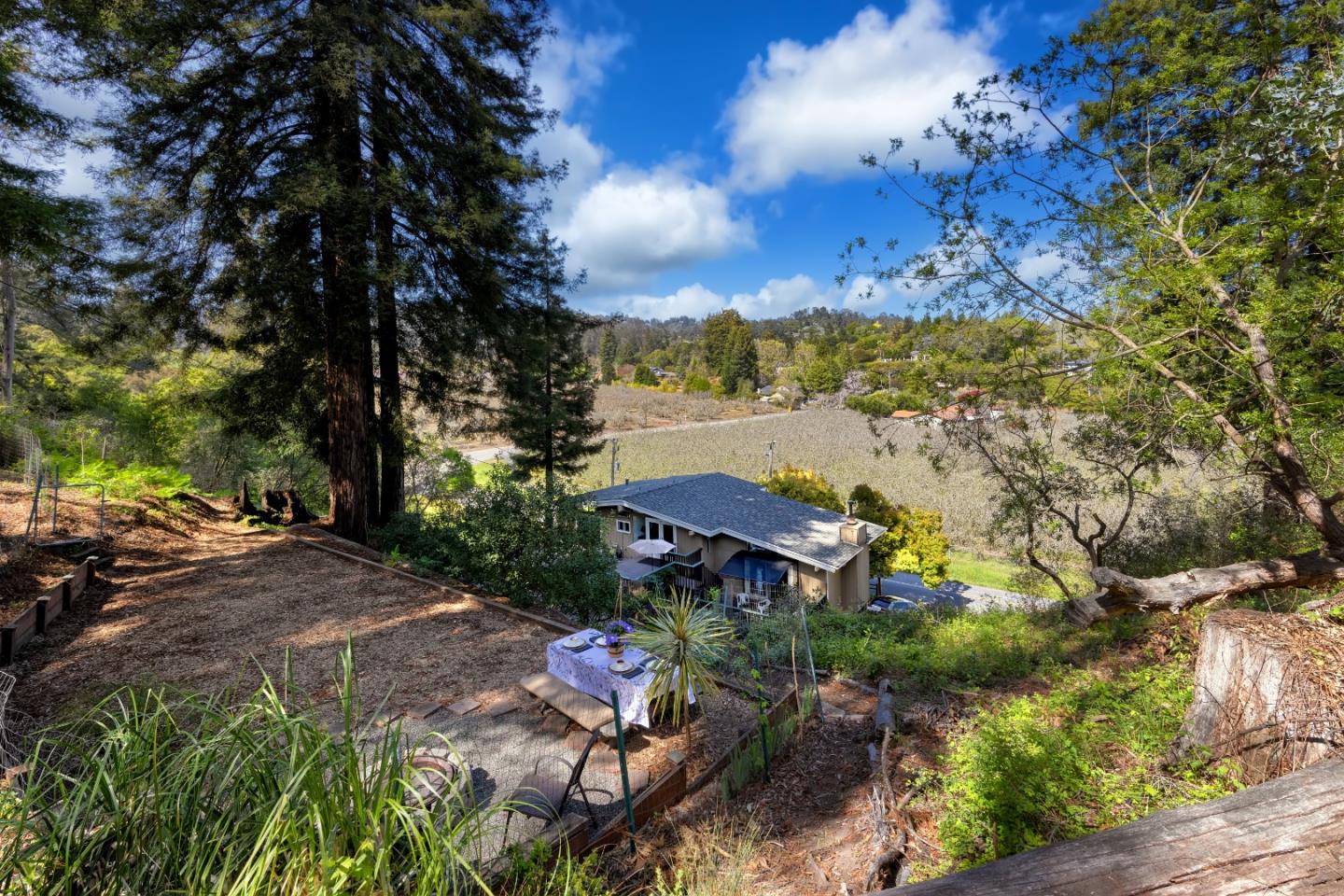 757 Pleasant Valley Road Aptos, CA 95003 - Photo 7 of 41 a view of a garden with lawn chairs under an umbrella