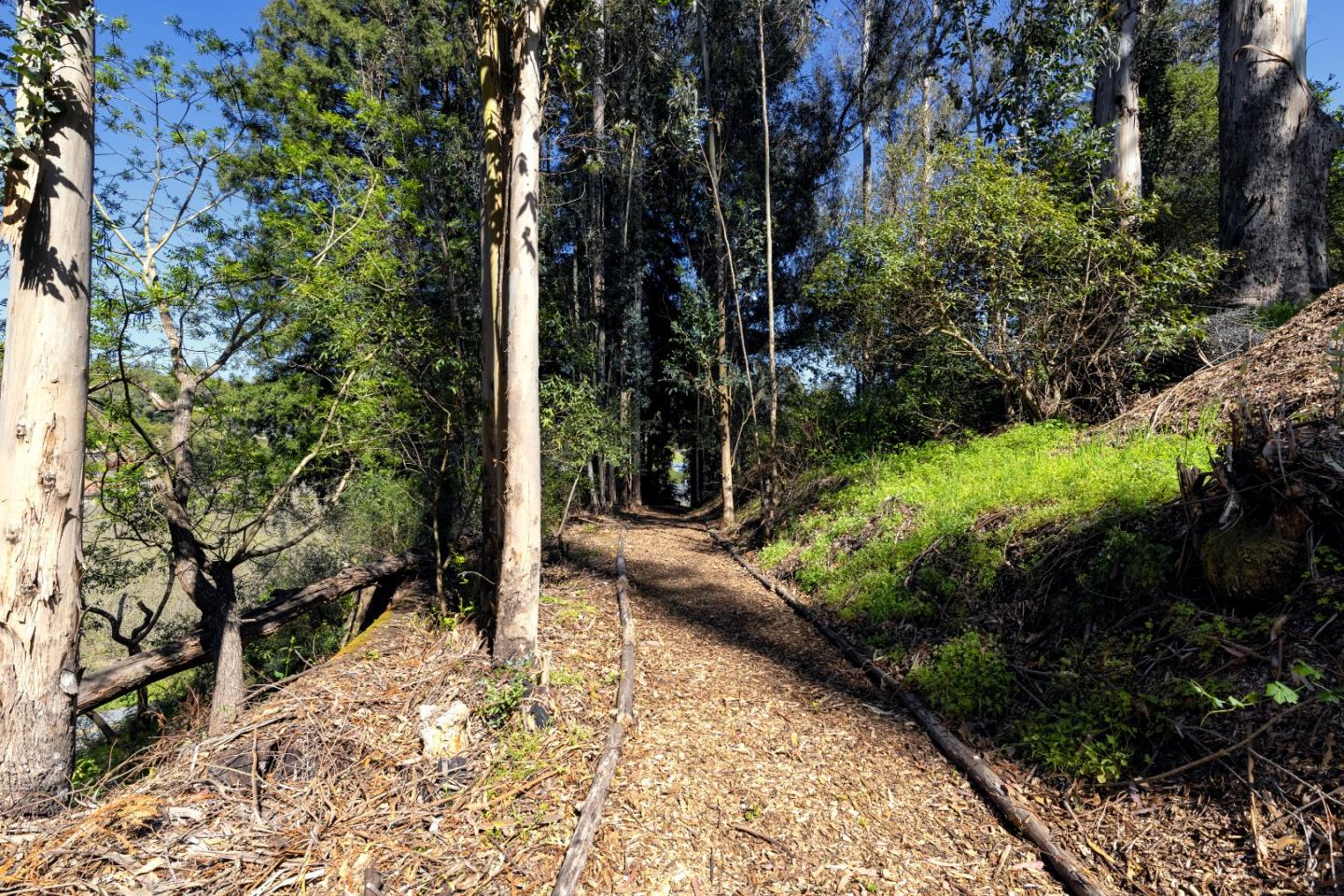 757 Pleasant Valley Road Aptos, CA 95003 - Photo 8 of 41 a view of a pathway of a garden