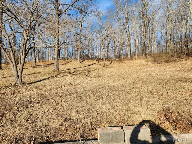 $269,000 | 138 Mulberry Street, Greenville, MO 63944