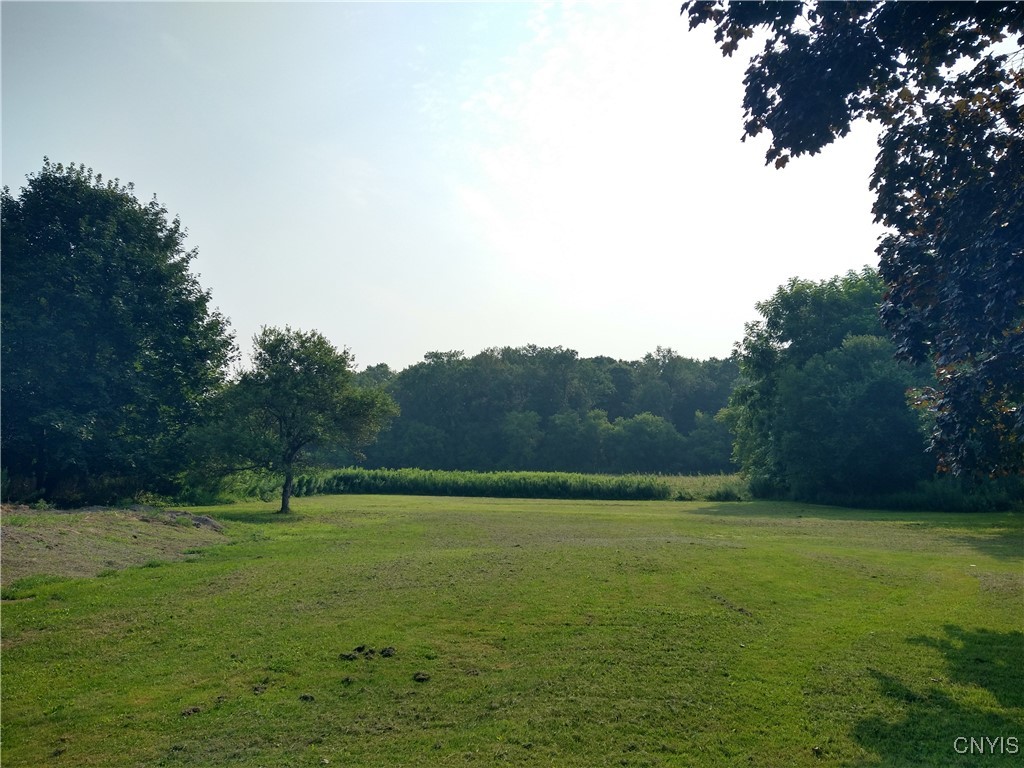 265 Champlin Road Groton, NY 13073 - Photo 5 of 21 beautiful back yard