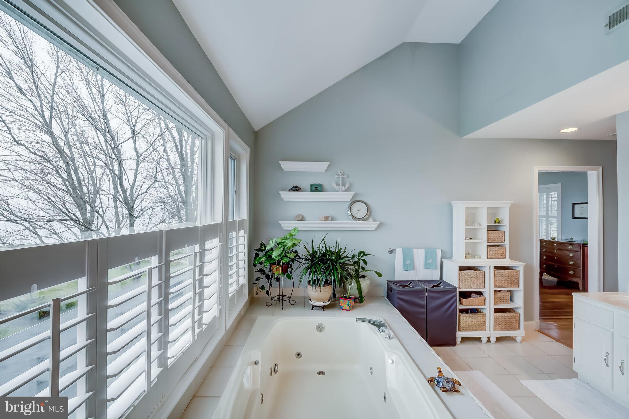2911 Cox Neck Road East Chester, MD 21619 - Photo 22 of 52 Jetted Tub