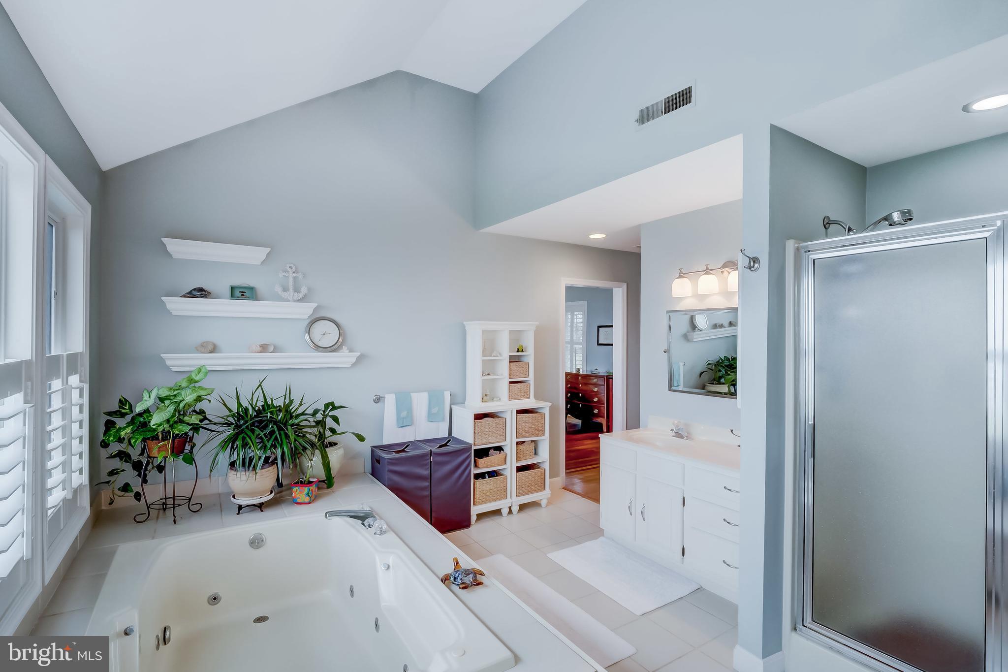 2911 Cox Neck Road East Chester, MD 21619 - Photo 23 of 52 Primary Bath Room