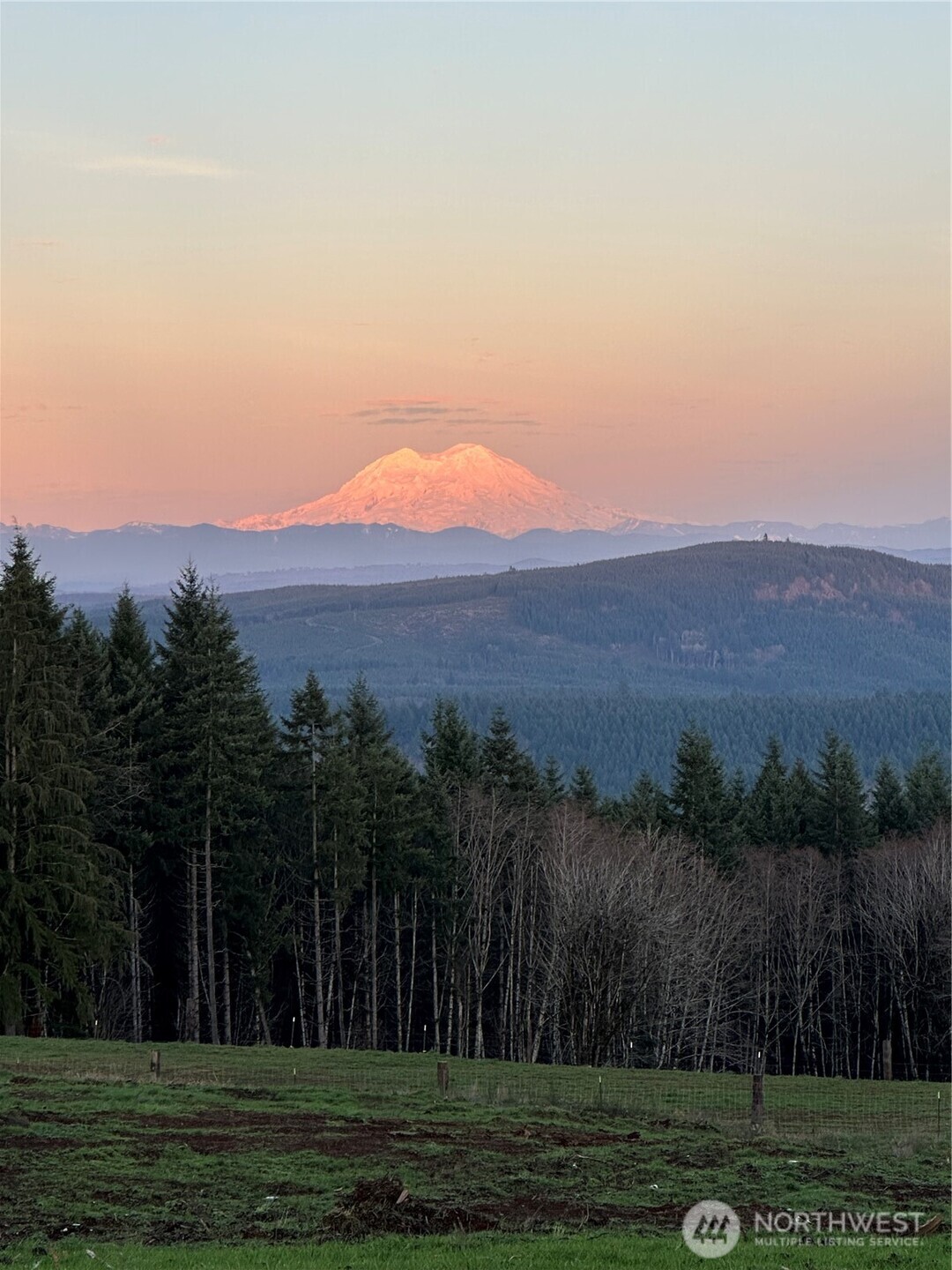 a view of a grassy field with trees in the background