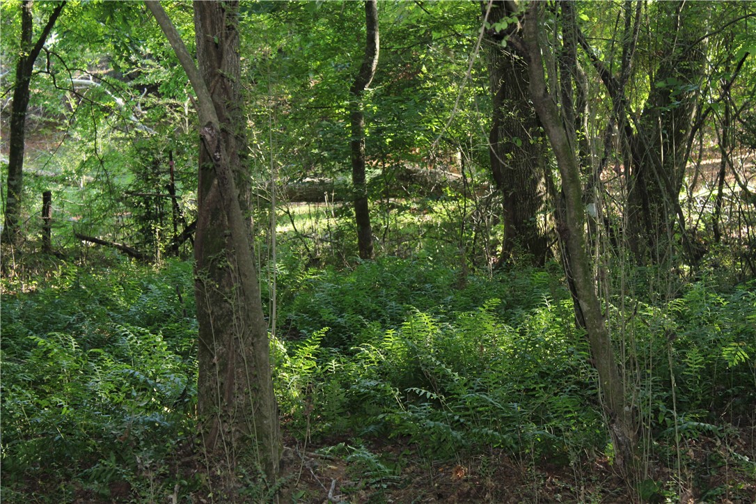 175 Redland Ranch Road Walhalla, SC 29691 - Photo 16 of 35 Gallery Image 16