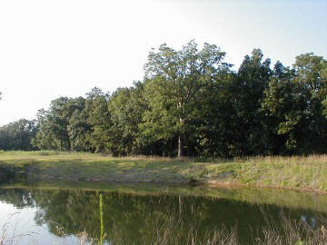 8641 Schuline Road Walsh, IL 62297 - Photo 11 of 13