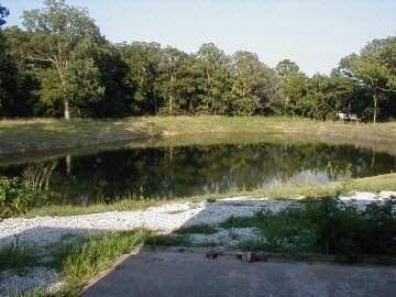 8641 Schuline Road Walsh, IL 62297 - Photo 7 of 13