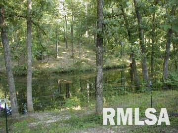 8641 Schuline Road Walsh, IL 62297 - Photo 9 of 13