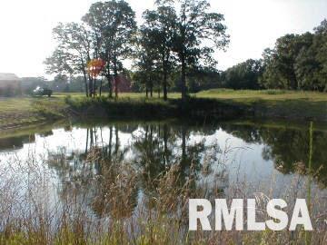8641 Schuline Road Walsh, IL 62297 - Photo 10 of 13