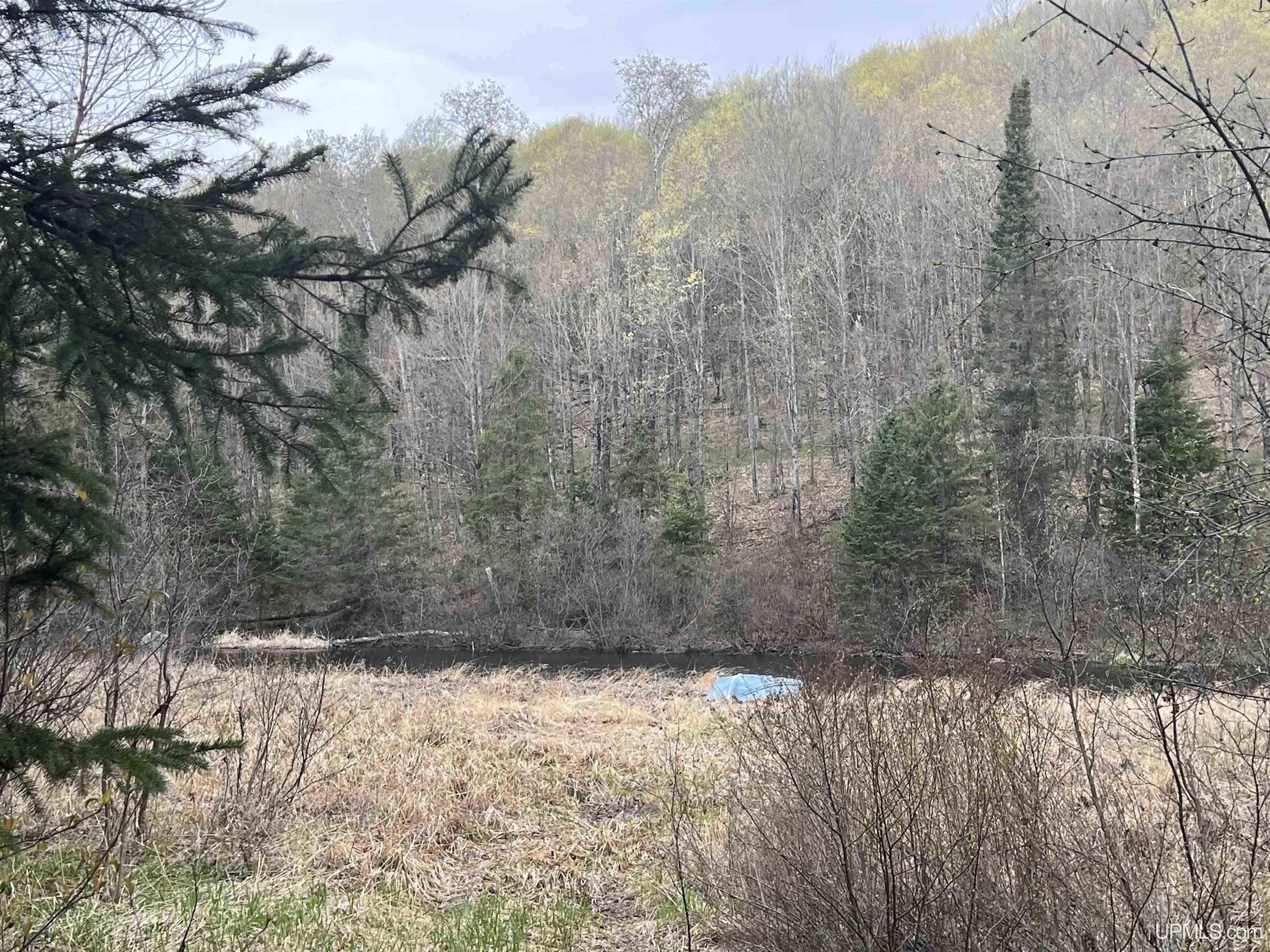 Lot 30 River Country Road Crystal Falls, MI 49920 - Photo 10 of 15