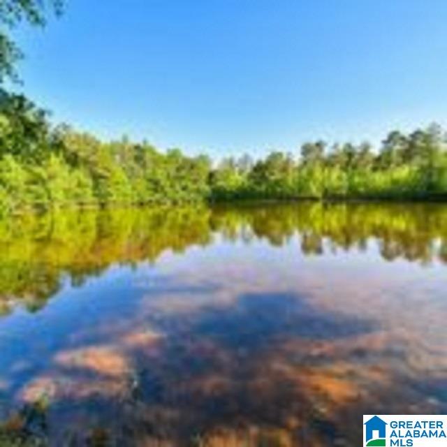0 Highway 22 Roanoke, AL 36274 - Photo 1 of 5