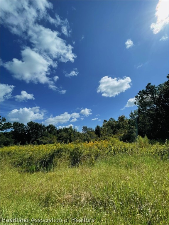 701 Kelly Road Avon Park, FL 33825 - Photo 2 of 4 Gallery Image 2