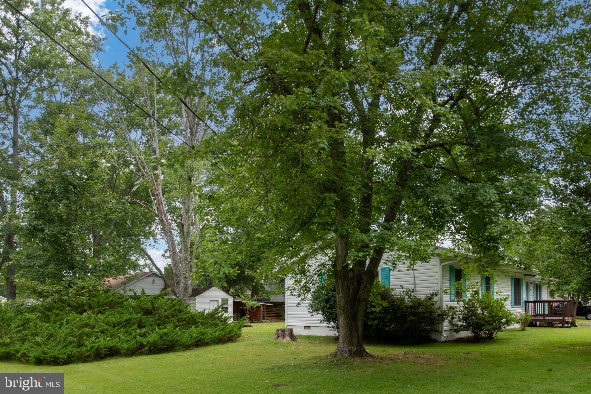 161 8th Street Colonial Beach, VA 22443 - Photo 48 of 71 SIDE YARD