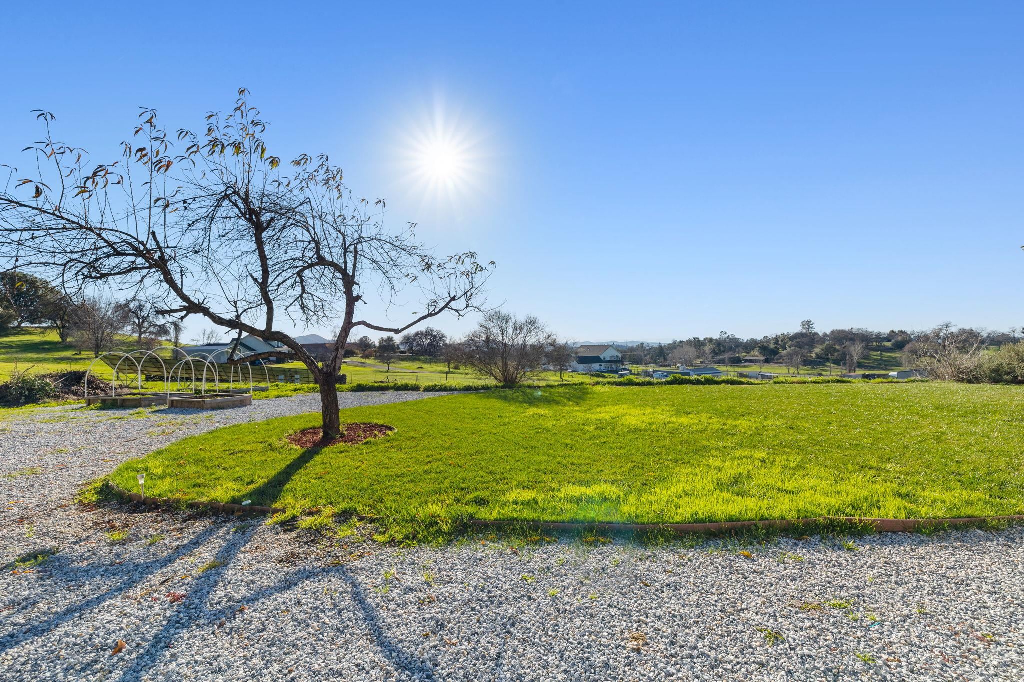 17550 Old Wards Ferry Road Sonora, CA 95370 - Photo 50 of 59 View of home's community featuring a yard and a rural view