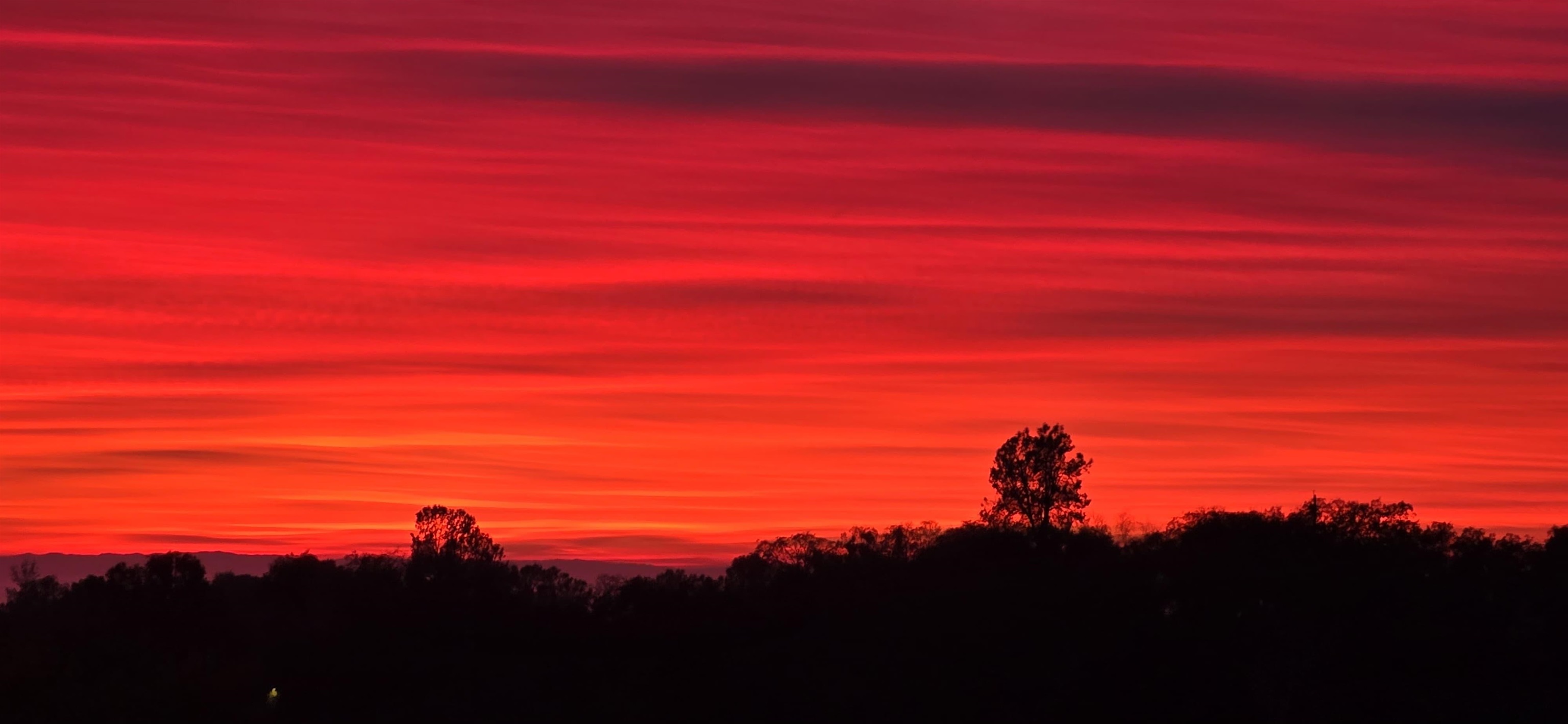 17550 Old Wards Ferry Road Sonora, CA 95370 - Photo 58 of 59