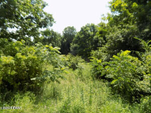 Zion Road Newfoundland, PA 18445 - Photo 2 of 2