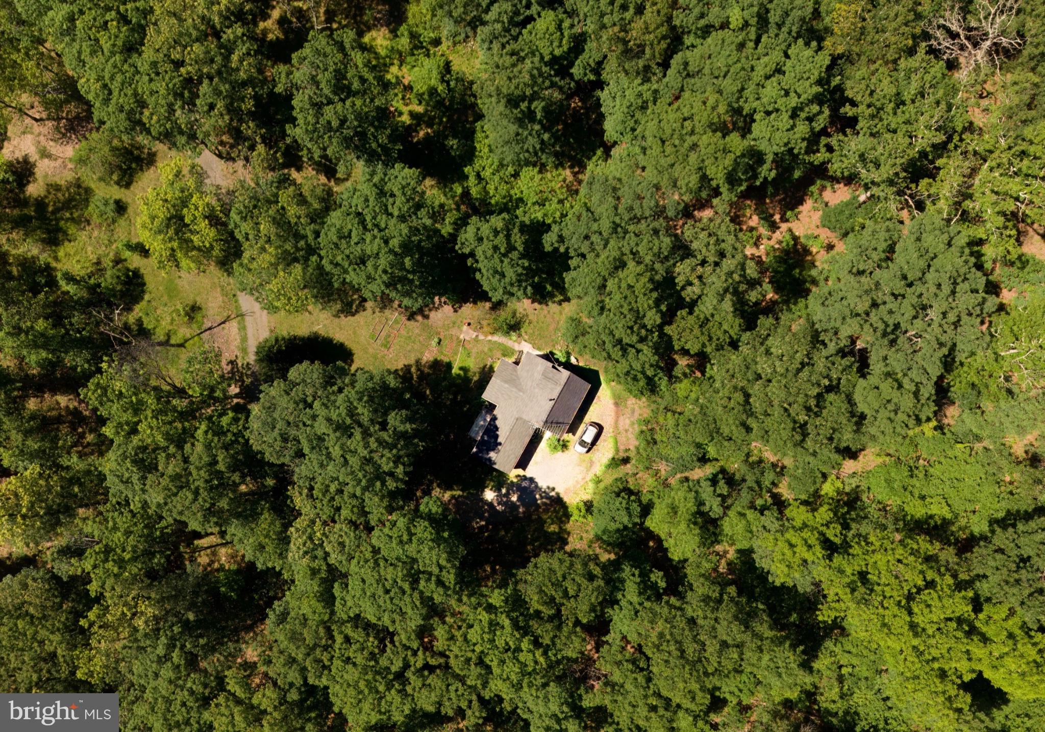 2932 Kerns School Road Springfield, WV 26763 - Photo 35 of 35 Secluded retreat amidst lush greenery.