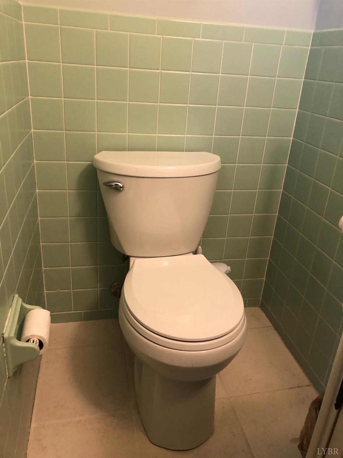 336 North Main Street Amherst, VA 24521 - Photo 22 of 60 a bathroom with a toilet and a rug