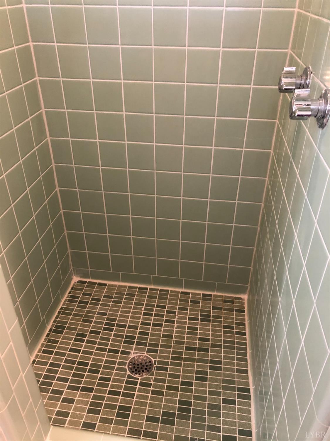 336 North Main Street Amherst, VA 24521 - Photo 25 of 60 a bathroom with a shower