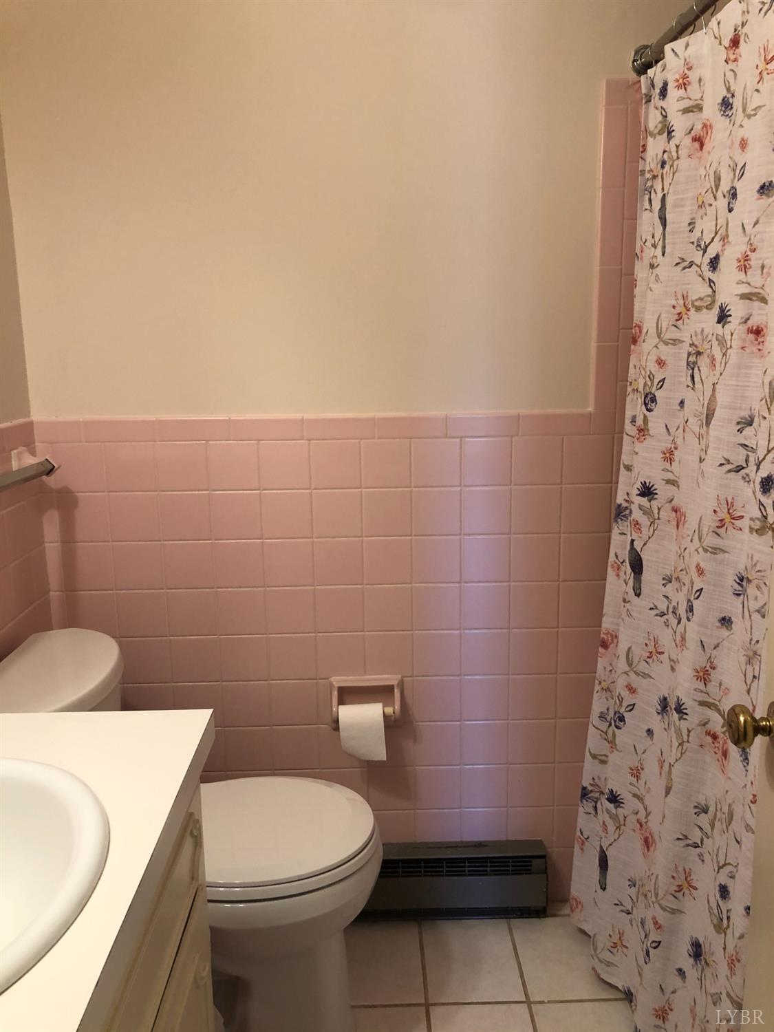 336 North Main Street Amherst, VA 24521 - Photo 28 of 60 a bathroom with a sink and a toilet