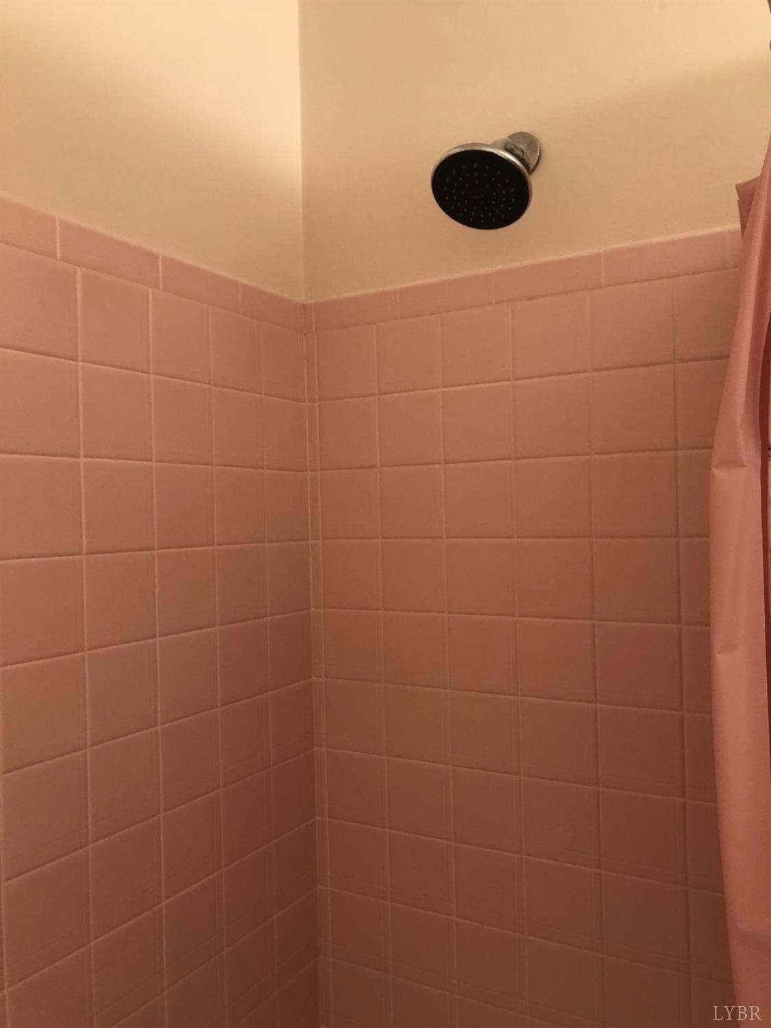 336 North Main Street Amherst, VA 24521 - Photo 29 of 60 a bathroom with a shower