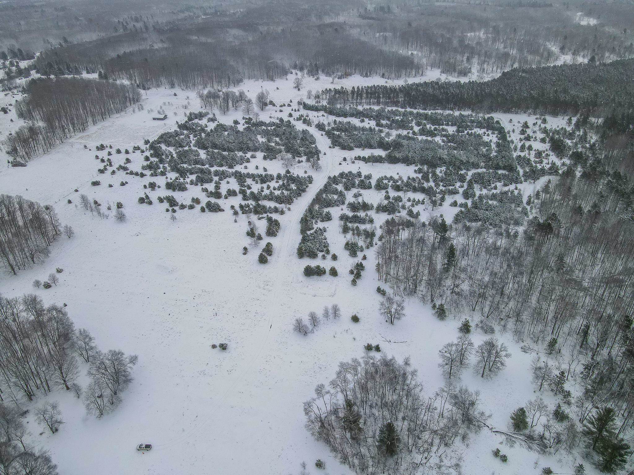 81-acres North 25 Road Buckley, MI 49620 - Photo 23 of 36