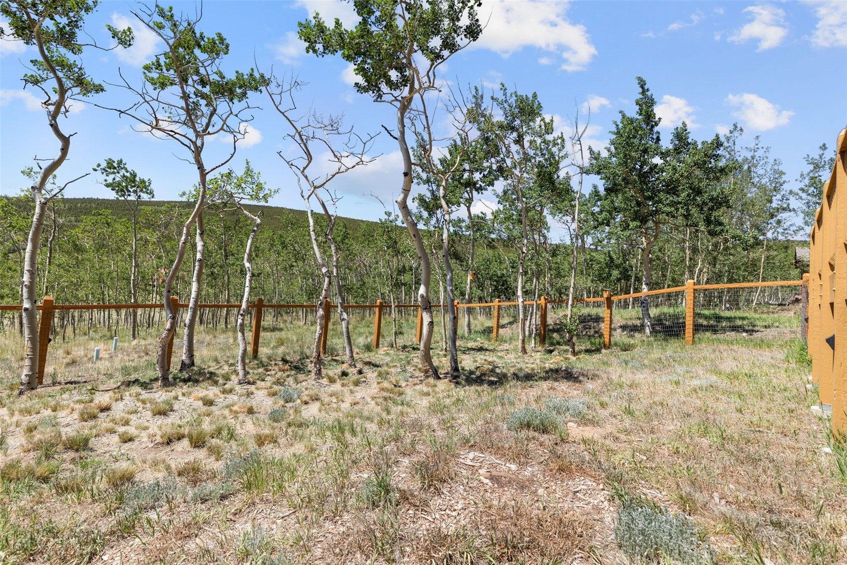 108 Sheep Ridge Road Fairplay, CO 80440 - Photo 26 of 39